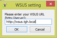 3 WSUS Offline Tool WSUS server URL entry