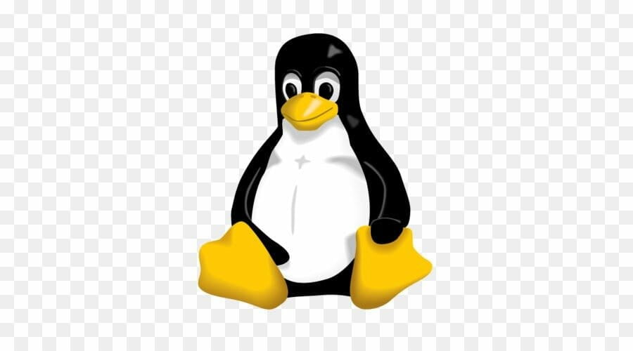 A cartoon illustration of a cheerful penguin with shiny black and white feathers and oversized yellow feet, standing against a transparent background,  might evoke the Linux mascot typically used to represent recovery tools for lost Linux