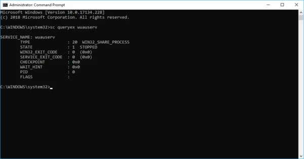 Command Prompt for Windows Update service status
