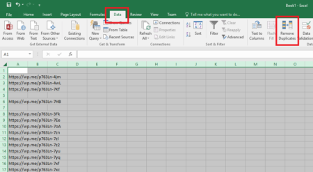 Microsoft Excel Remove Duplicates