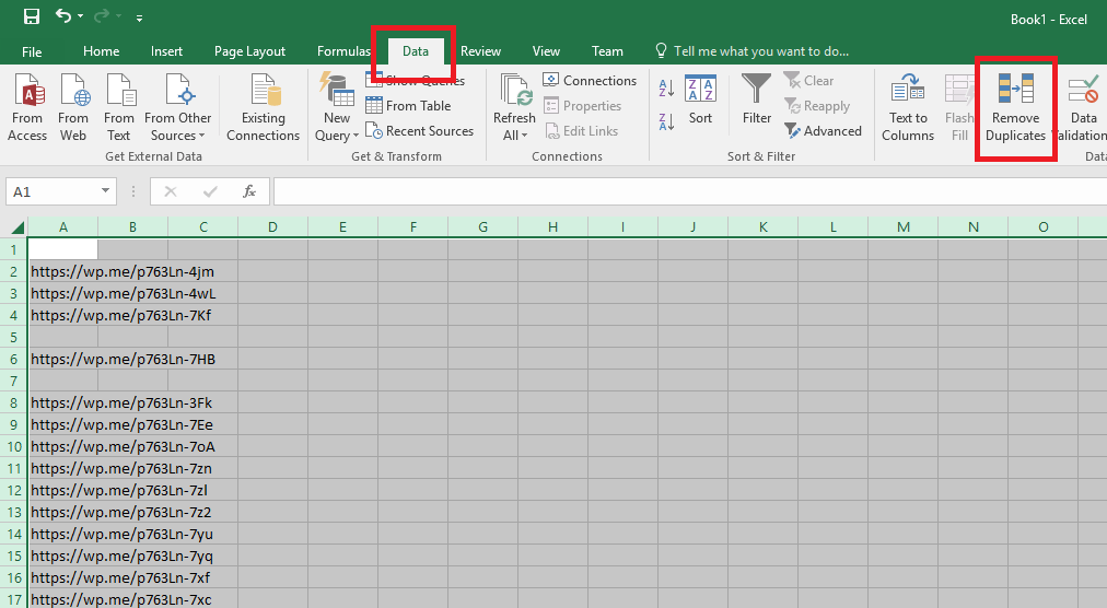 Microsoft Excel Remove Duplicates