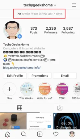 TechyGeeksHome Instagram Insights