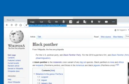 Black-Panther-Demo-in-Wikipedia