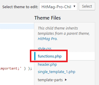 WordPress Theme Functions File