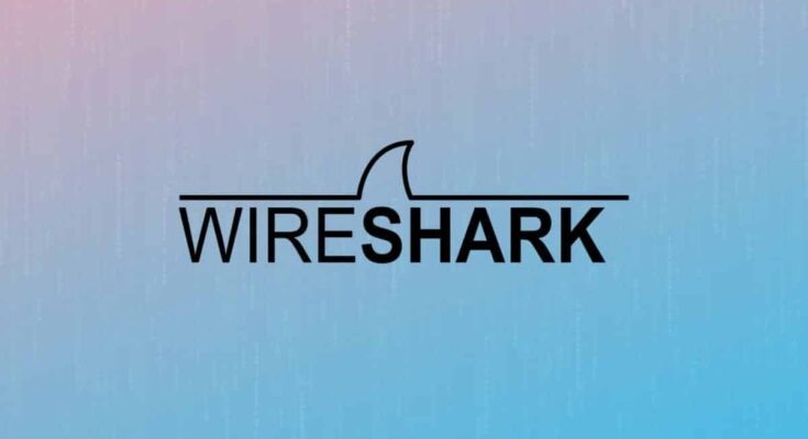 wireshark logo