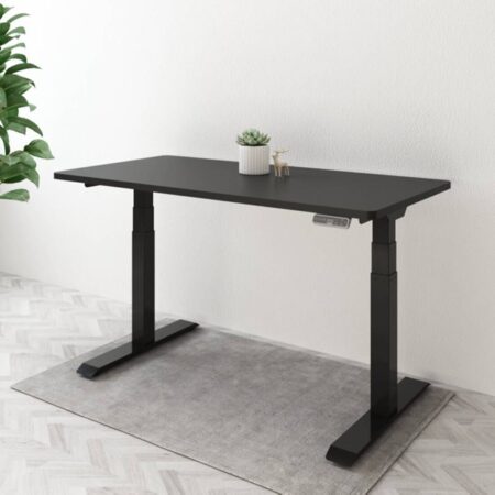 A modern black FlexiSpot standing desk with adjustable legs, located in a minimalist office space. The ergonomic workstation features a plant and a small decorative item, set on a gray rug with a green plant
