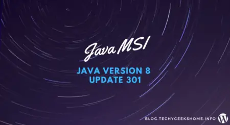 Java Version 8 Update 301