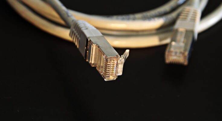 close up photo of ethernet cable