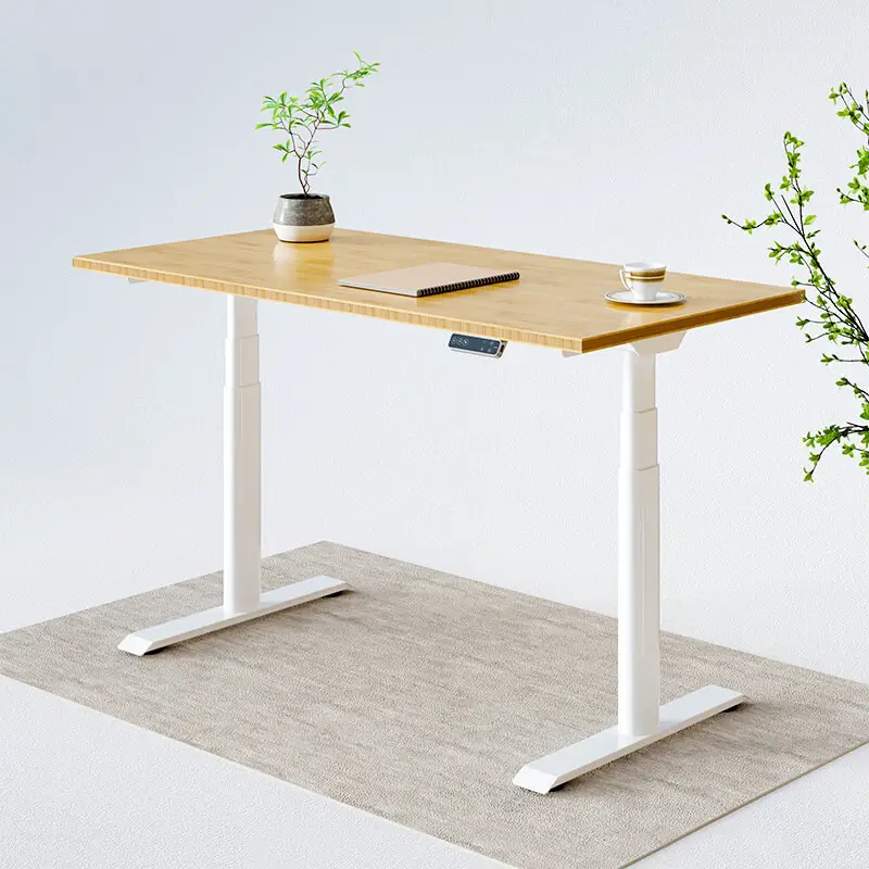 kana-pro-standing-desk-et228-800