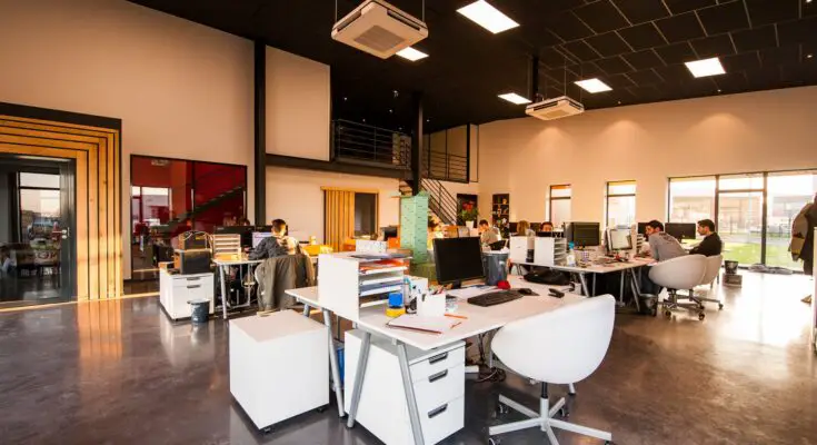 people sitting on chairs beside their desks in an office