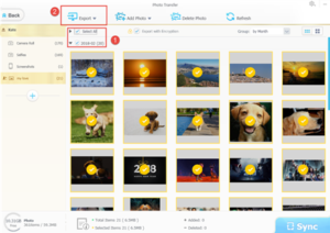 A screenshot of a photo management software interface displaying a grid of thumbnail images, many featuring a dog with a yellow smiley face sticker covering its face, with icons for various functionalities including options to transfer photos