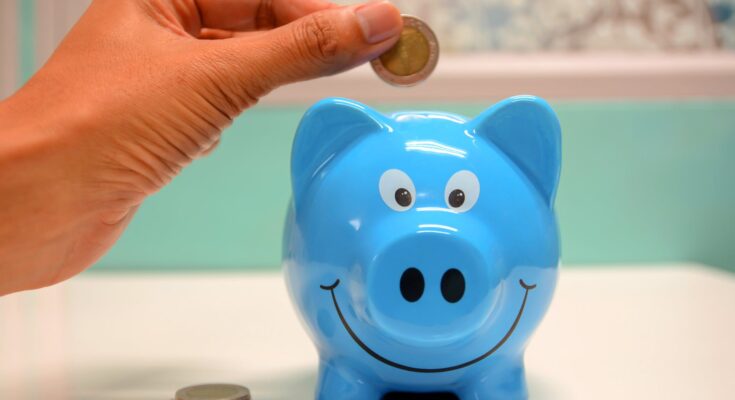 person putting coin in a piggy bank