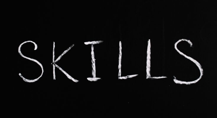 The word "skills" written in white chalk on a blackboard, symbolizing educational, professional, or gaming development concepts.