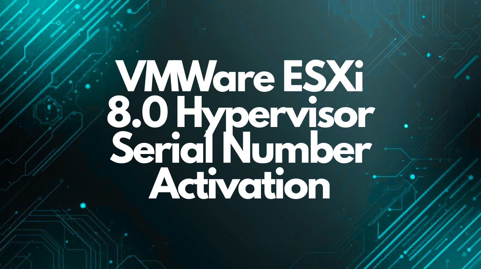 VMWare ESXi 8.0 Hypervisor Serial Number Activation