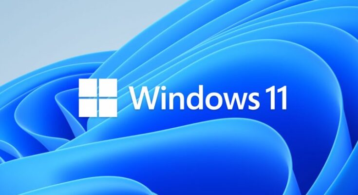 Microsoft Windows 11 Logo