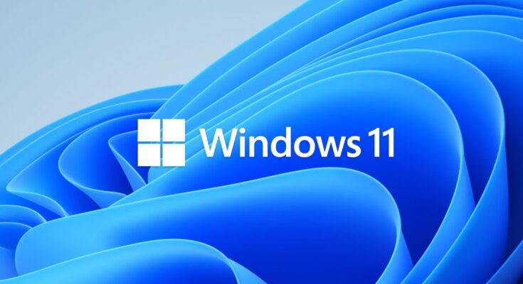 Microsoft Windows 11 Logo