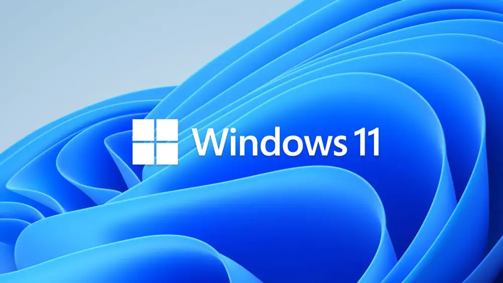 Microsoft Windows 11 Logo