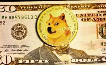 dog dollar bill