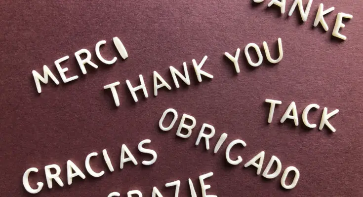 Languages "thank you" in various tongues, including "merci," "danke," "tack," "gracias," "obrigado," and "grazie," arranged on a