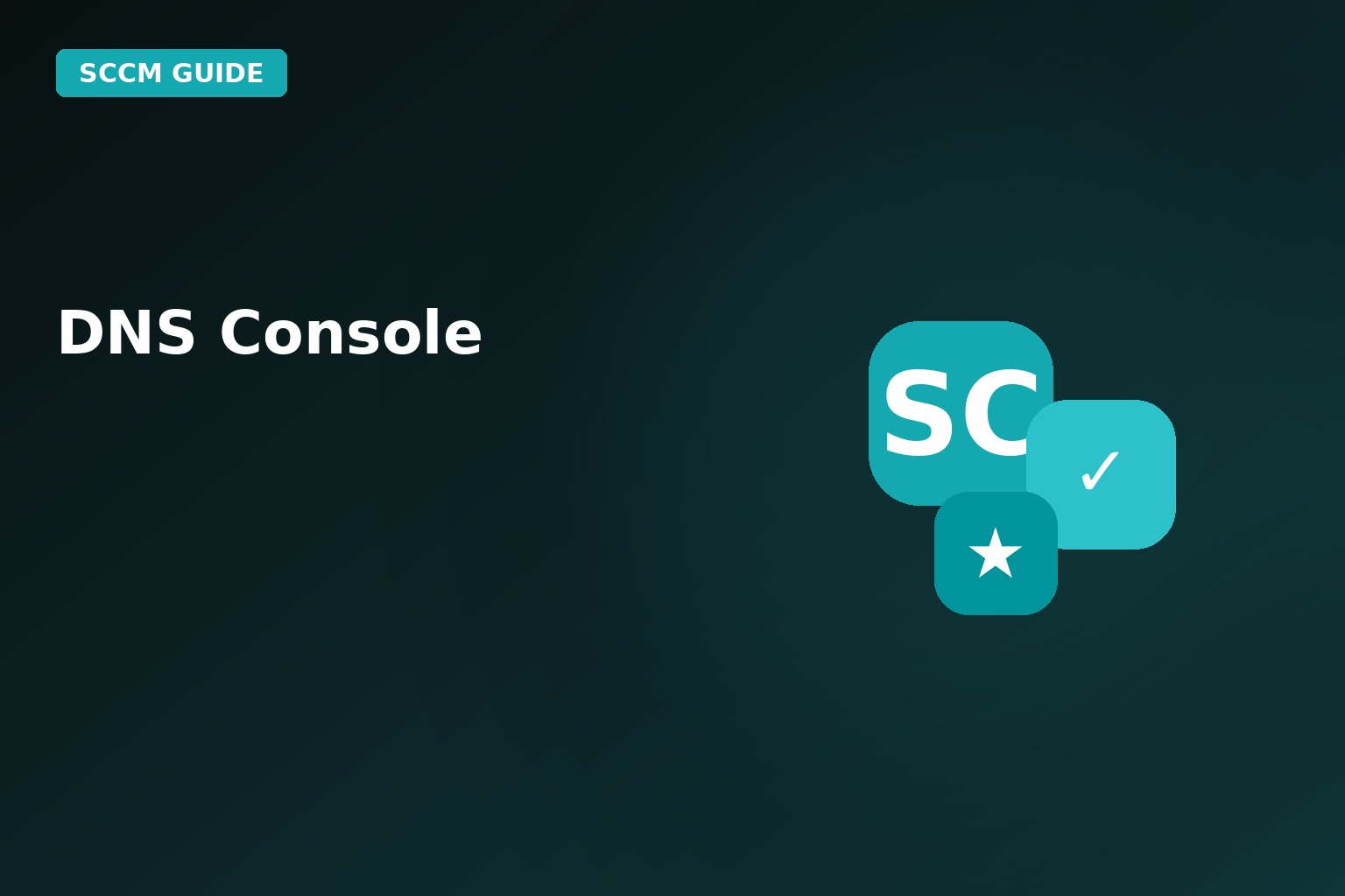 DNS Console