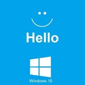 Windows Hello Registry Fix
