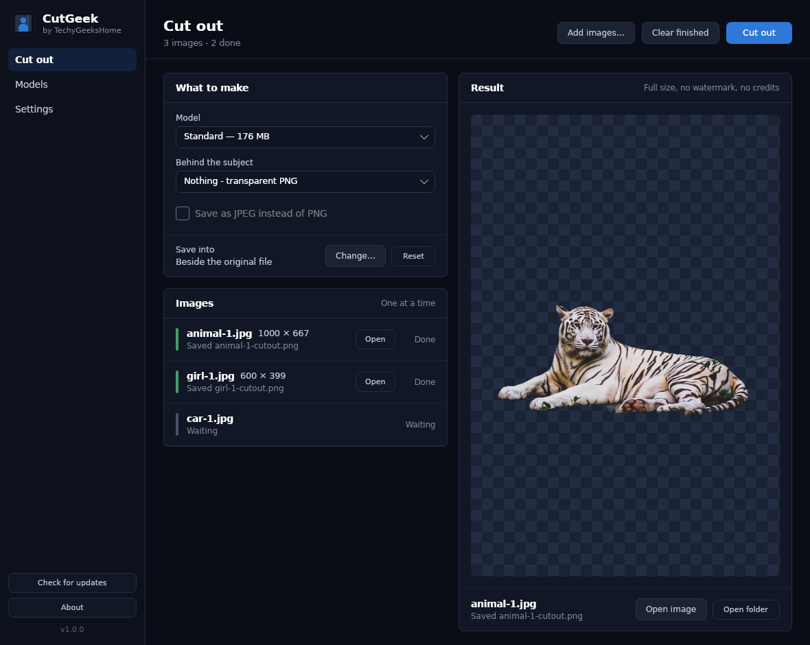 The Cut out screen — options, queue and a live preview on a transparency checkerboard